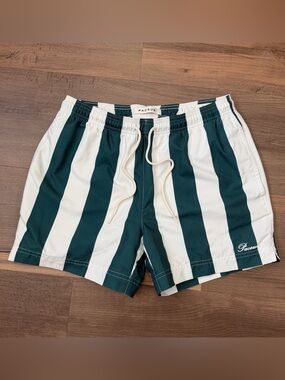 Pacsun Playa Stripe Swim Trunks - Green & White - Size Small